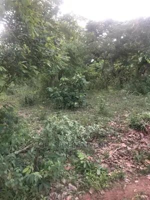 1 plot of land at Aba Ege Amuloko