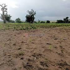 A land at Adepo Ibadan